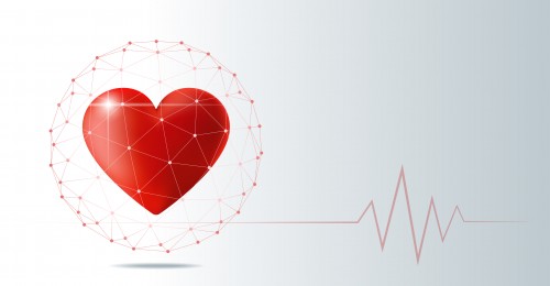 Širdies ir kraujagyslių ligų prevencinė programa